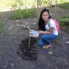 PNA Neem Tree Planting in Bicol (February13, 2016)