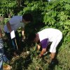 PNA Neem Tree Planting 2016, Bicol